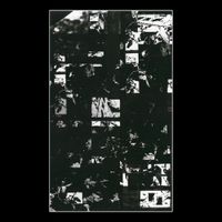 Vasculae - Already Seen