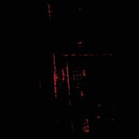 Vasculae - Broken Lust