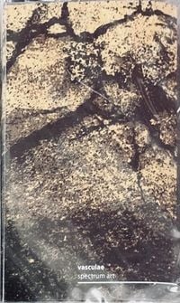 Vasculae - Spectrum Art