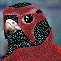 Lofty305 - Poshbaby