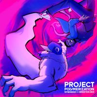 Shwabadi - Project Polymerization