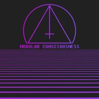 Violet Cold - Modular Consciousness