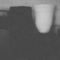 Merzbow - The Prosperity Of Vice, The Misfortune Of Virtue