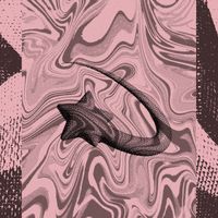 BigTWONeli - Electric Sound Machine
