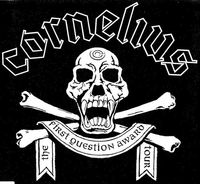 Cornelius - The First Question Award Tour
