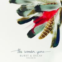 The Wonder Years - Junebug