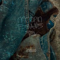 stig bink - moopin pymants