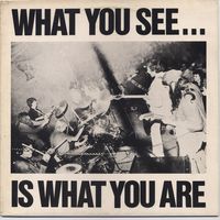 Alternative TV - What You See... Is What You Are