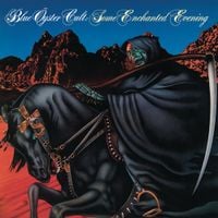 Blue &Ouml;yster Cult - Some Enchanted Evening
