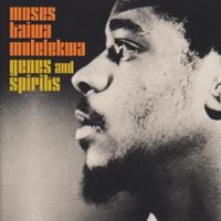 Moses Taiwa Molelekwa - Genes And Spirits