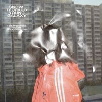 Young Galaxy - Snow Leopard