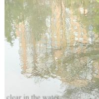 Opals - Clear in the Water