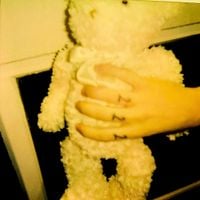 Calvin-maysun Pink - BearPiss