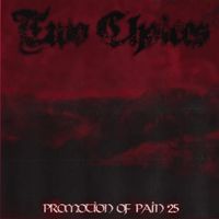Two Choices - Promotion Of Pain