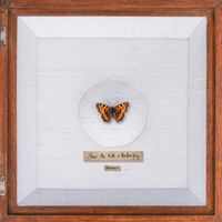 Farma G - How To Kill A Butterfly