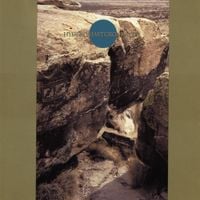 Ruins - Hyderomastgroningem