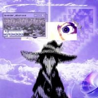 Primal Rights - Lavender