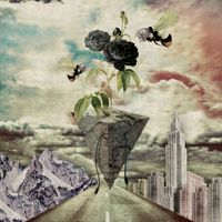 The Insects - Black Rose