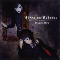 Schwarz Stein - Sleeping Madness
