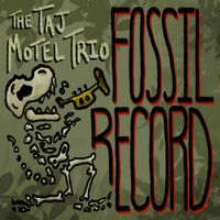 The Taj Motel Trio - Fossil Record
