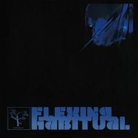 The Flashbulb - Flexing Habitual