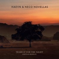 HAEVN - Trade it for the Night (Unfold Bundle)