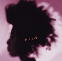 bird - bird