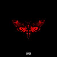 Lil Wayne - I Am Not a Human Being II (Deluxe)