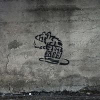 Tha Patk&aacute;nyz - Kr&oacute;nikus Viselked&eacute;stelens&eacute;g