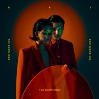 The Dumplings - Raj