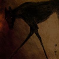 Carlos Ares - D&iacute;as de Perros