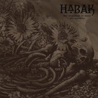 Habak - Mil orqu&iacute;deas en medio del desierto