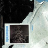 Subtle - Winter