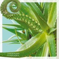 LATEXFAUNA - Ajahuaska