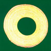 ↑THE HIGH-LOWS↓ - Baumkuchen