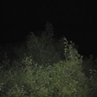 Perflufendufen - Frost