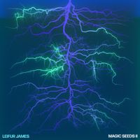Leifur James - Magic Seeds II