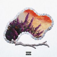 Manuel - Orgonabokor