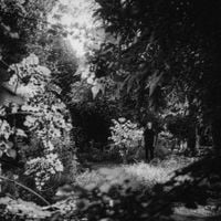 Movements - Where I Lay