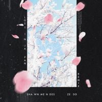 Shawn Mendes & Zedd - Lost In Japan (Remix)