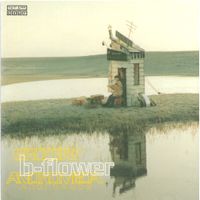 B-flower - Grocery Andromeda