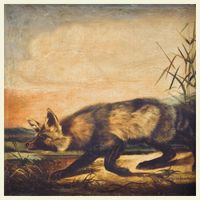 Cam Shortridge - Season of Dead Air