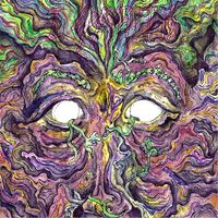 I, Apparatus - Ebola and the Botanist