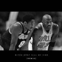 Kendrick Lamar - Bitch, Don't Kill My Vibe (Remix)