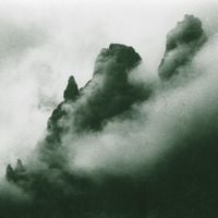 Massimo Toniutti - Il Museo Selvatico