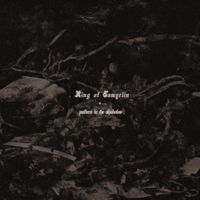 Ring Of Tamyrlin - Pattern in the Shadows