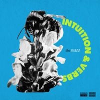 VerBS - Buzz