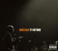 David Cross - It's Not Funny