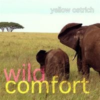 Yellow Ostrich - Wild Comfort