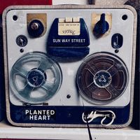 Sun Way Street - Planted Heart
